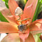 Gold Labradorite Ring | Adjustable 18kt Gold Plated Gemstone Ring